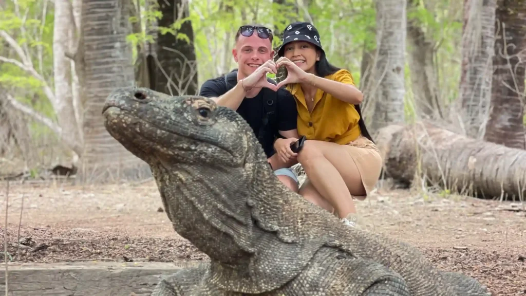Komodo Island vs Rinca Island — Which Is Better to Visit?