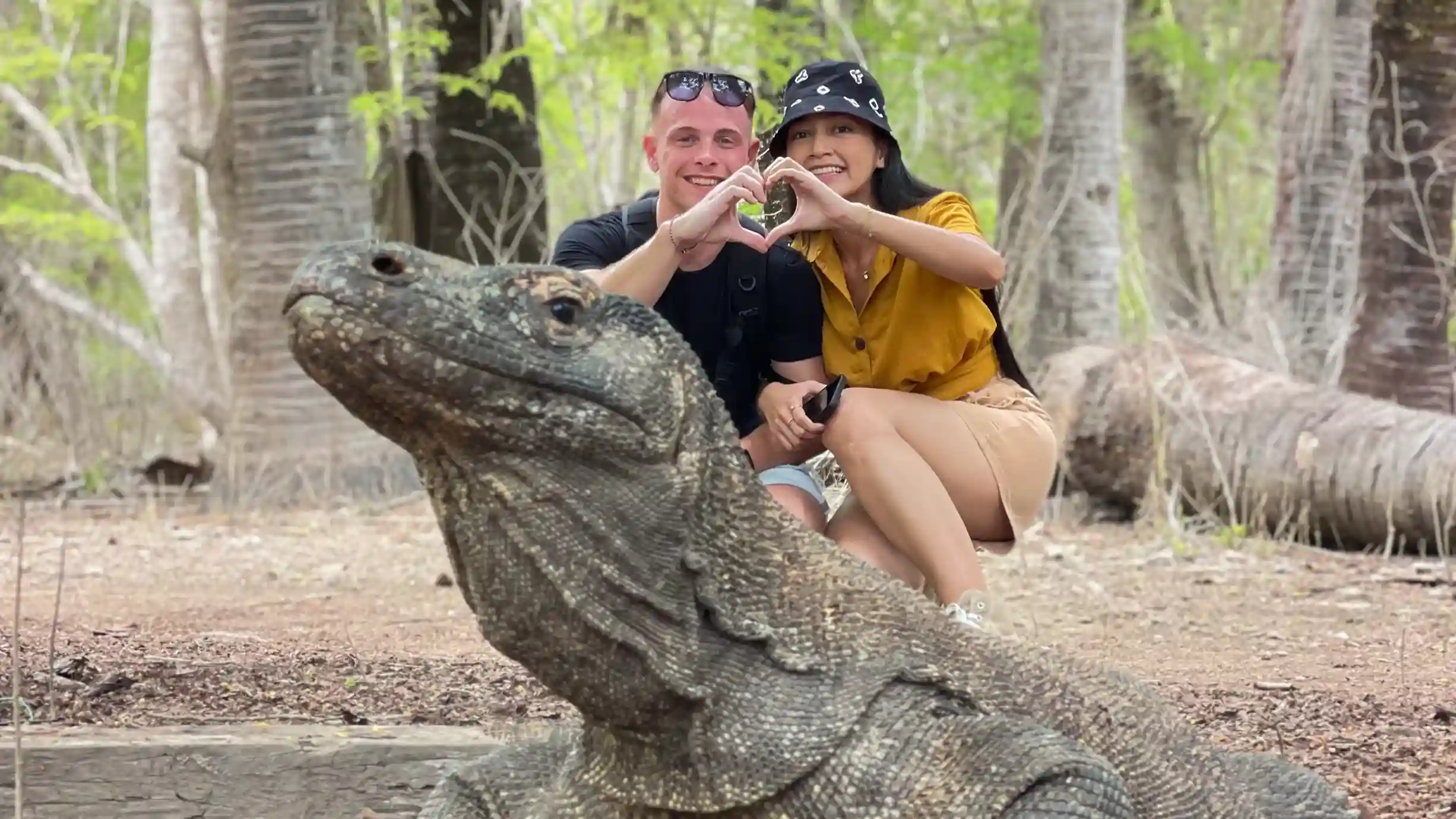 Komodo Cruise from Labuan Bajo — luxury sailing through Komodo National Park
