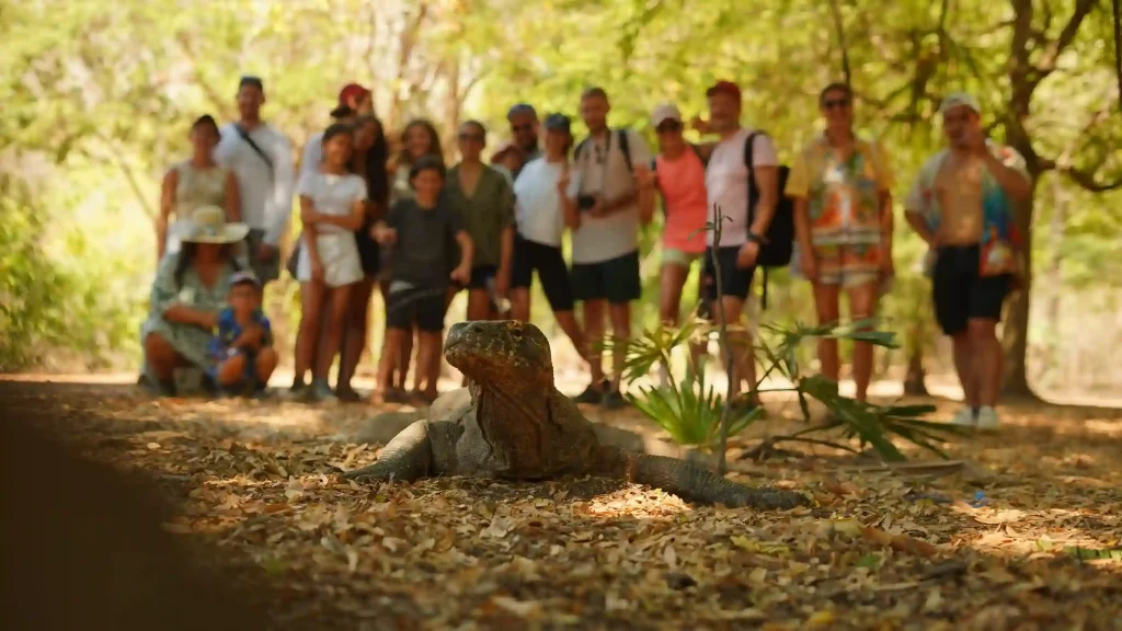 Komodo Day Trip from Labuan Bajo — Options, Prices & What to Expect