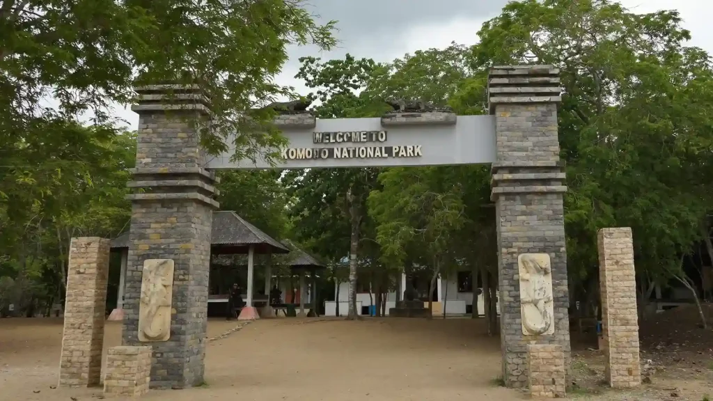 History of Komodo National Park — From Discovery to UNESCO Heritage