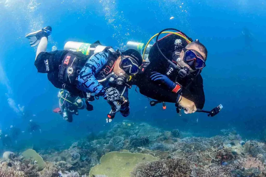 Best Komodo Liveaboard 2025-2026 — Top Picks for Divers & Travelers