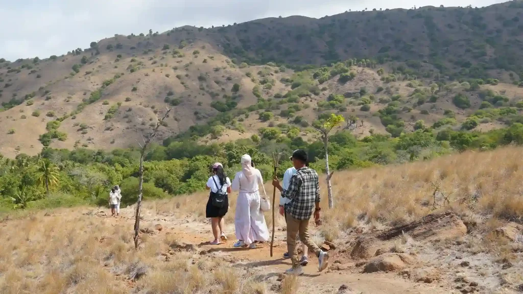 Komodo Dragon Trekking Guide — Expert Tips for Your Wild Encounter