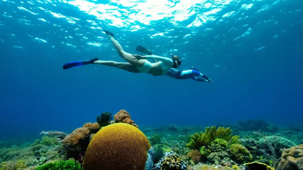 Best Snorkeling Spots in Komodo National Park — Complete Guide