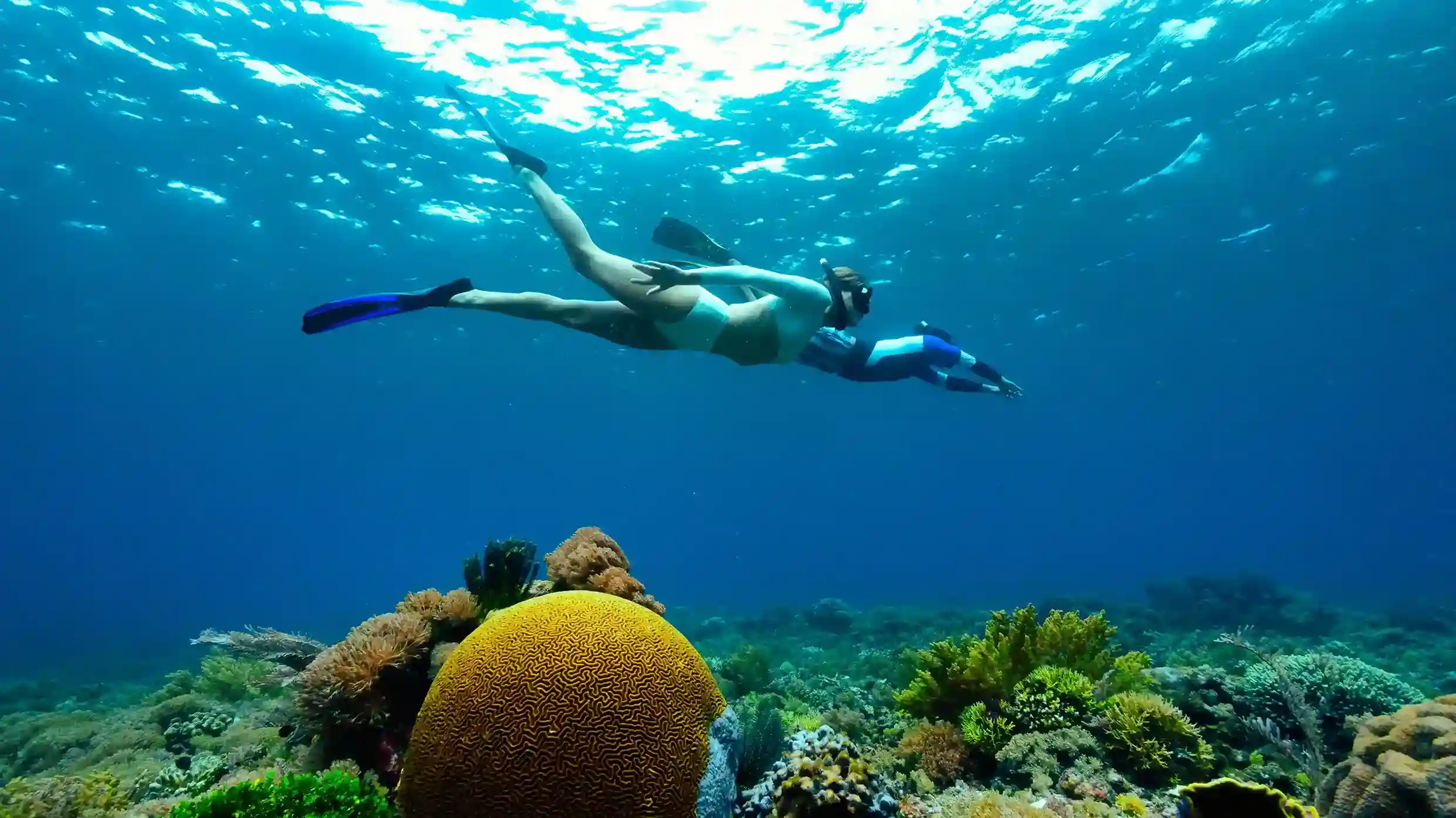 Best Snorkeling Spots in Komodo National Park — Complete Guide