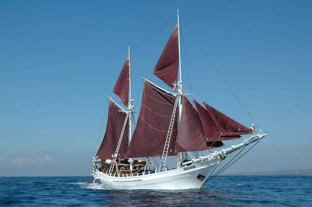 Komodo Cruise Packing Guide: Complete Checklist for Paradise