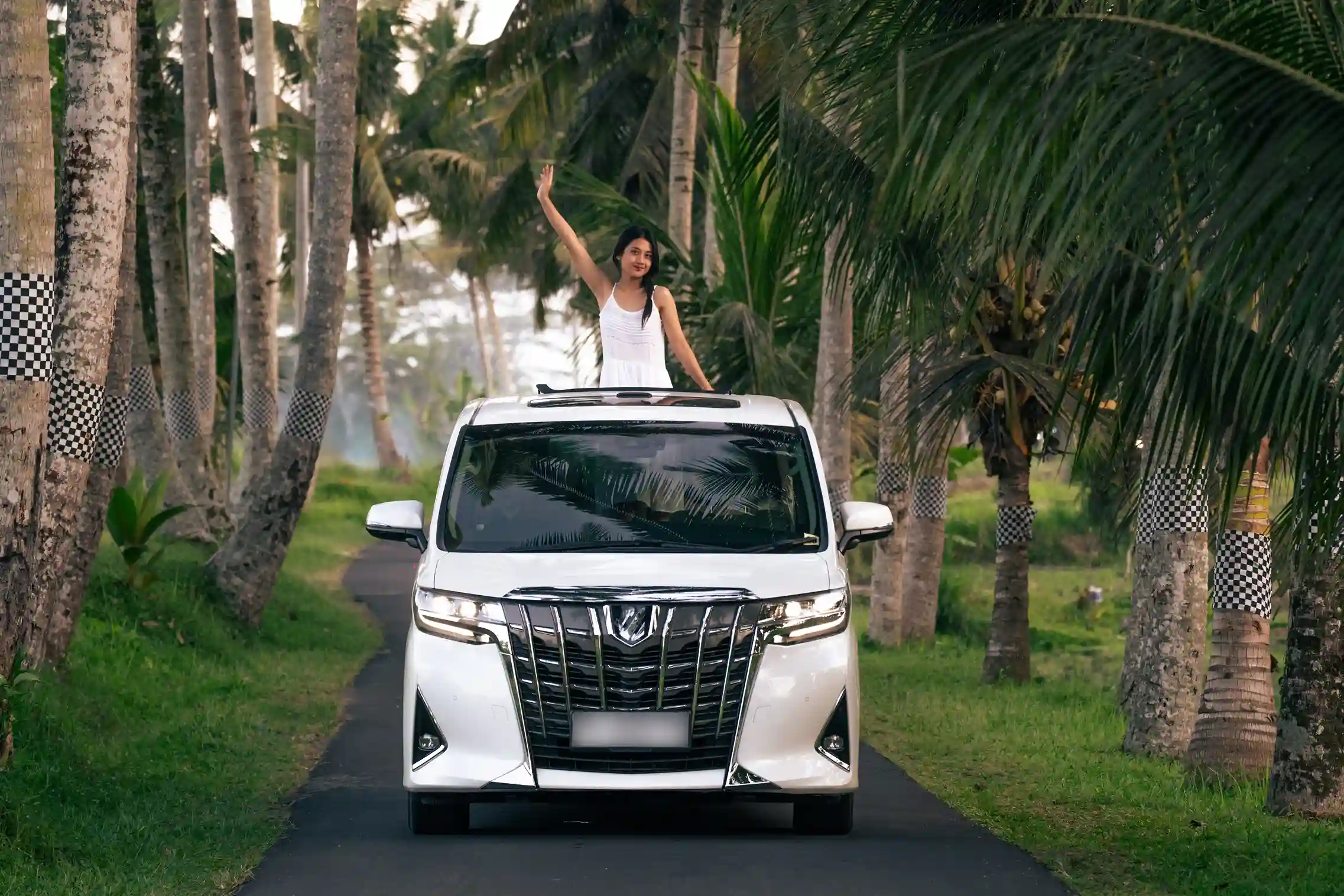 Alphard Rental