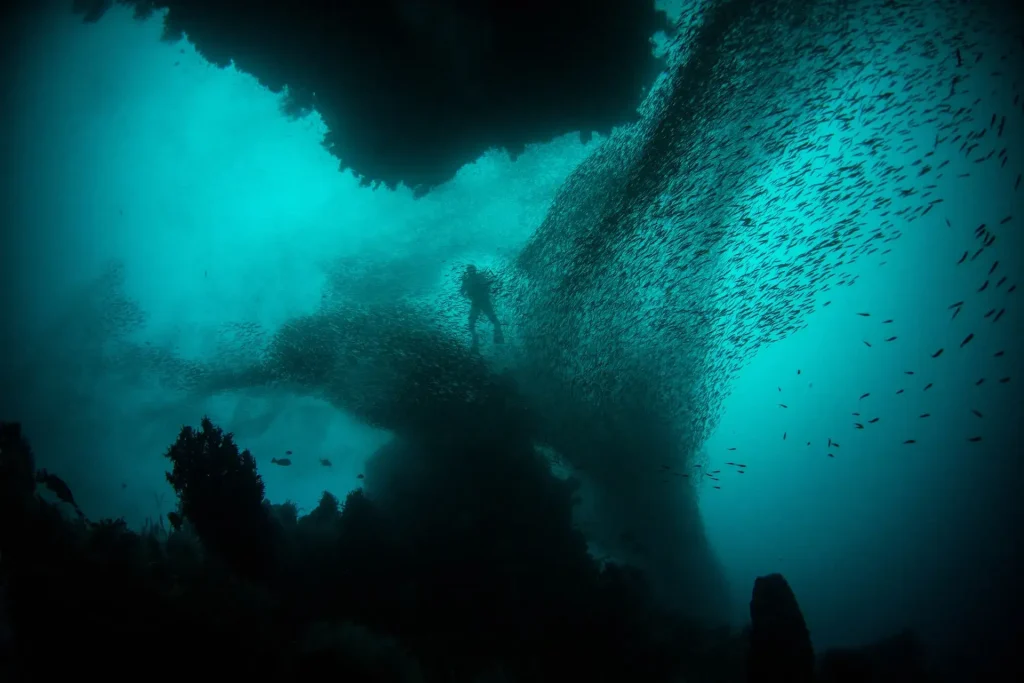 Labuan Bajo Luxury: Underwater Photography & Drone Regulations in Raja Ampat (2027)