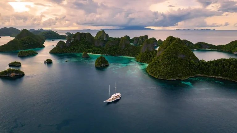 Raja Ampat’s Marine Biodiversity: A Definitive Guide for Discerning Travellers